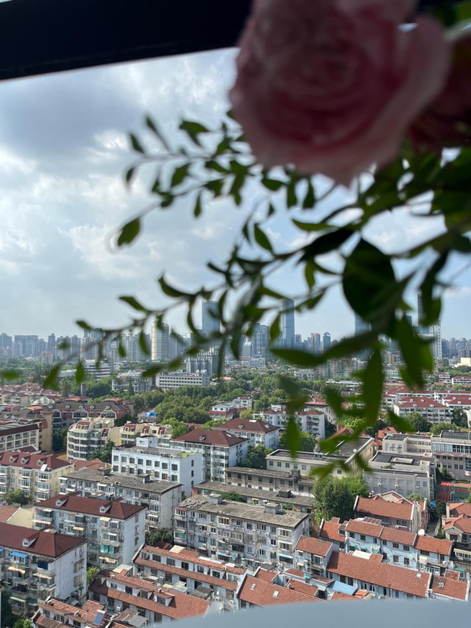 Căn hộ Flowers In Full Bloom